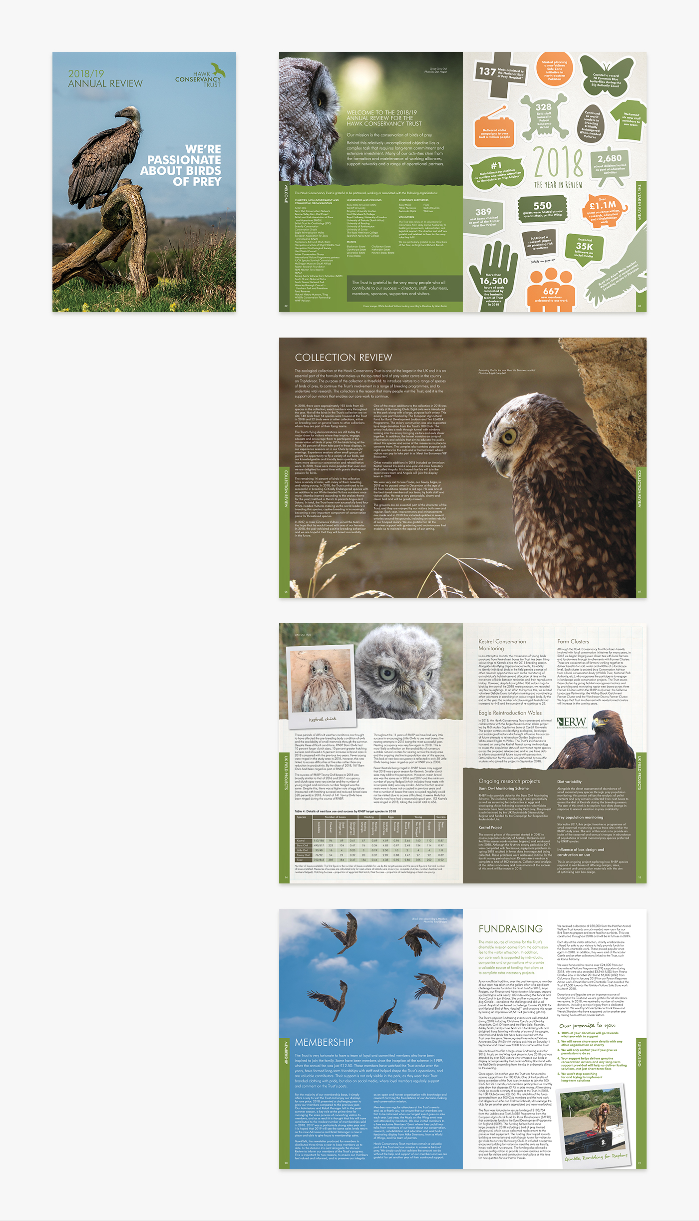 HCT_annualreport_2019_mockup