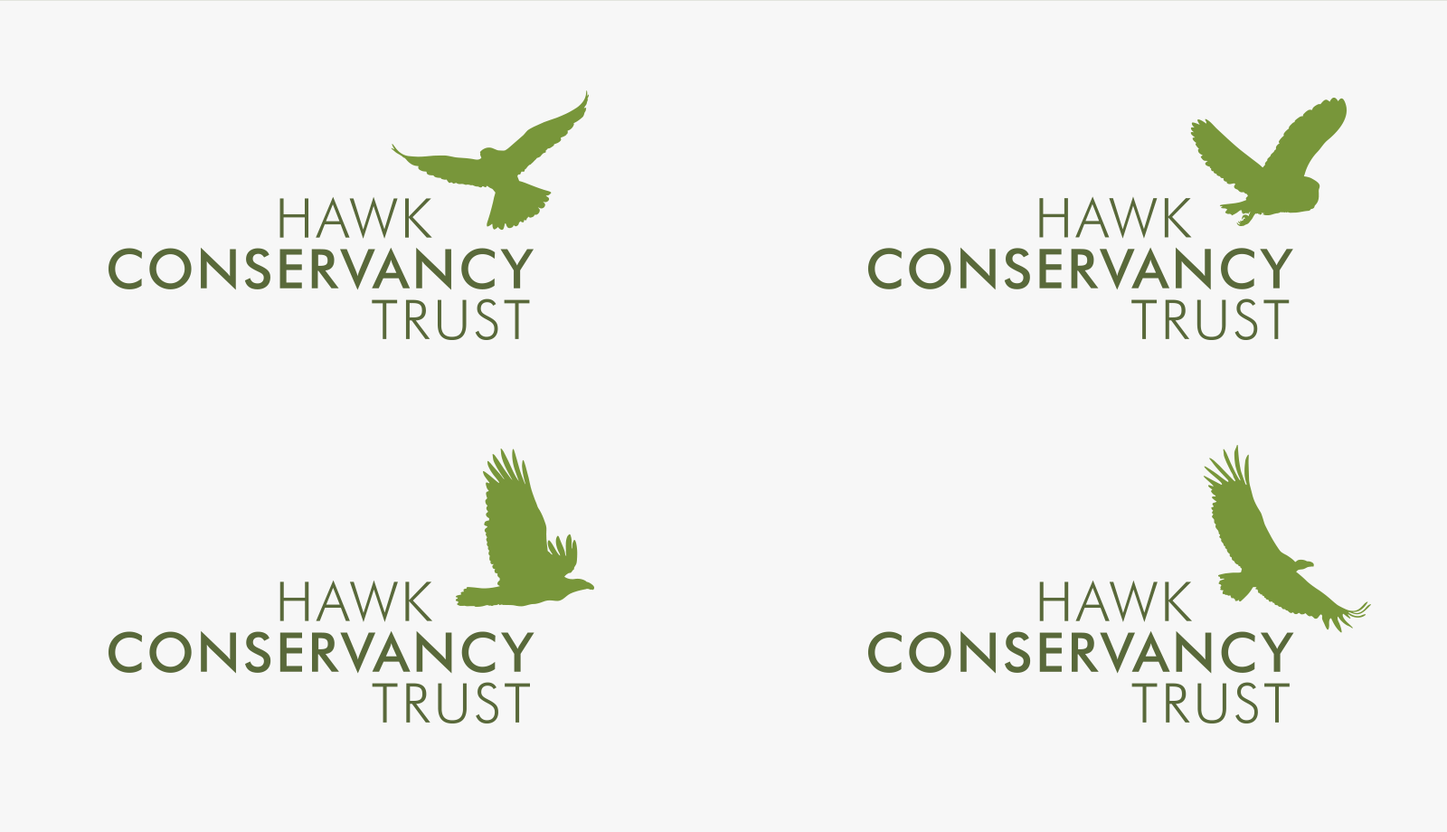 HCT_branding3