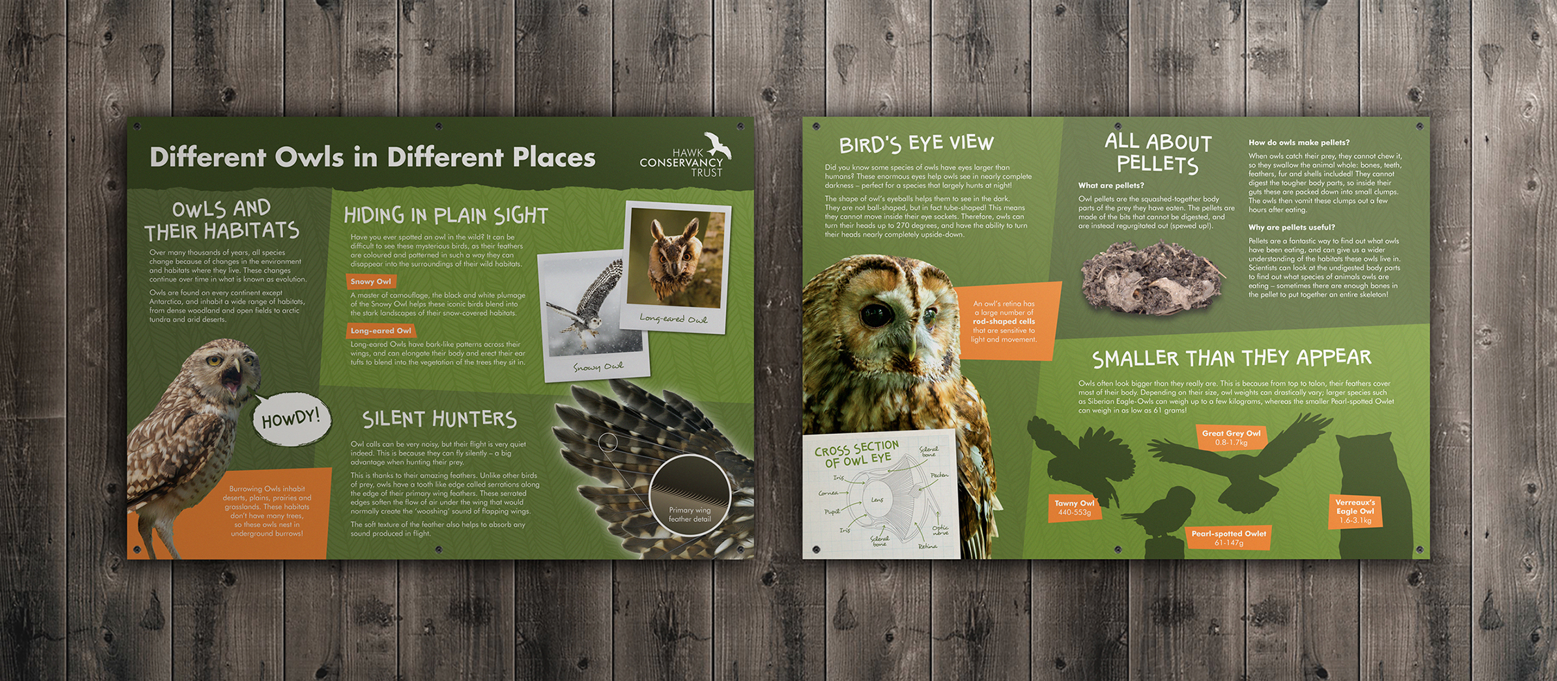 HCT_interpretation1_REV