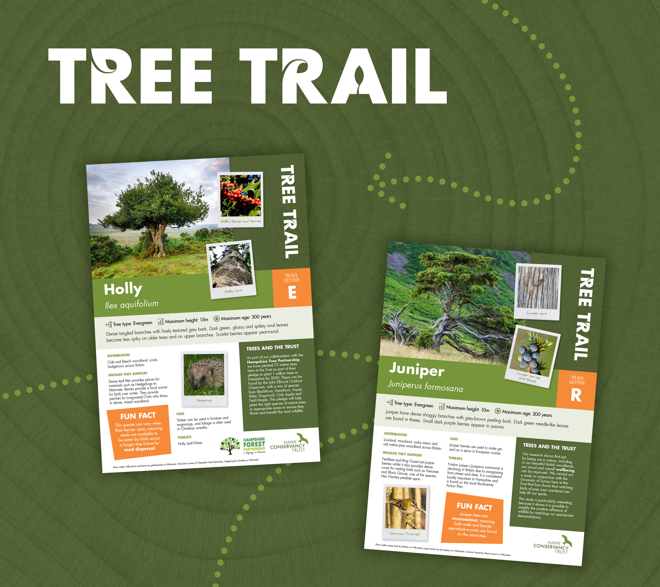 HCT_interpretation_TT