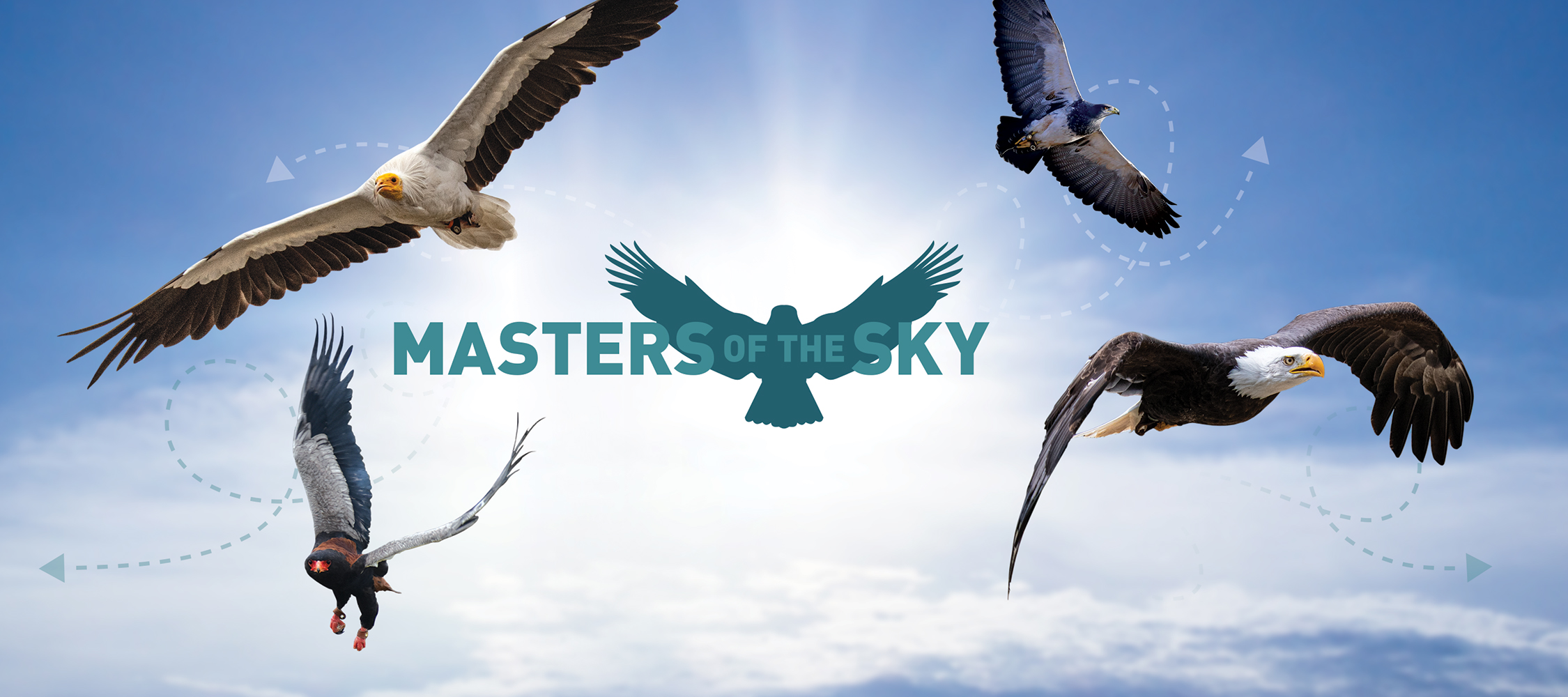 HCT_new_marketing_Masters